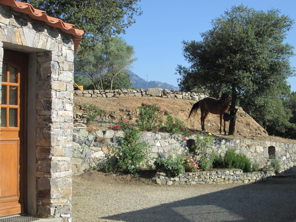 L'Albadu Corte (Corsica) Exterior foto