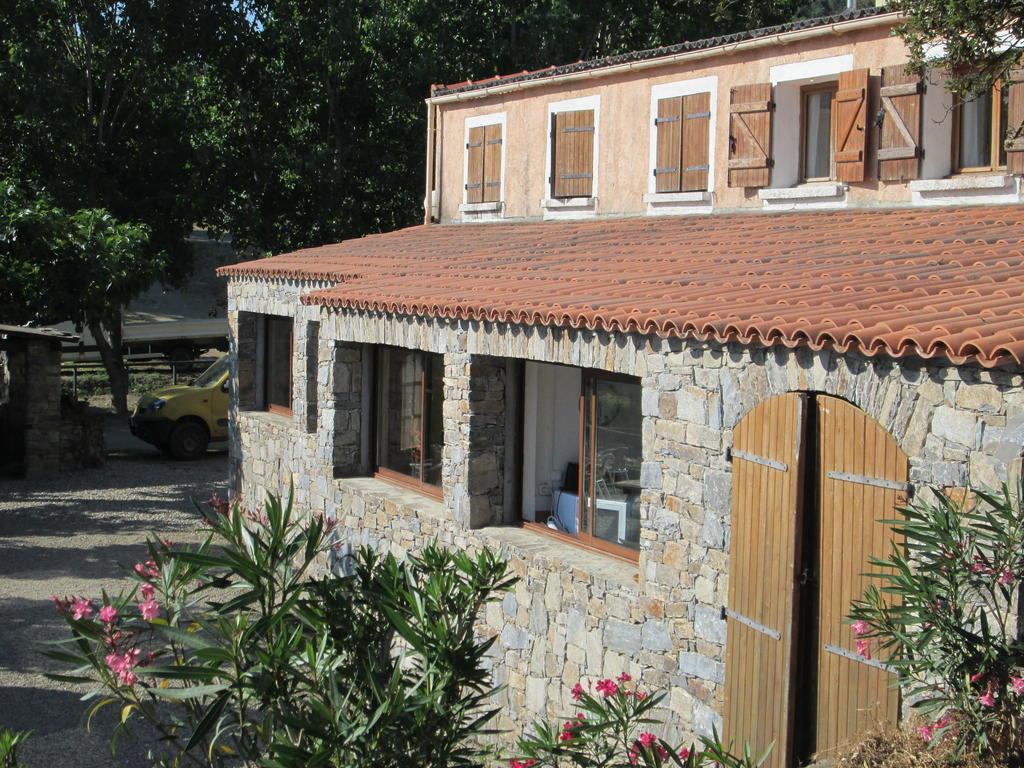 L'Albadu Corte (Corsica) Exterior foto