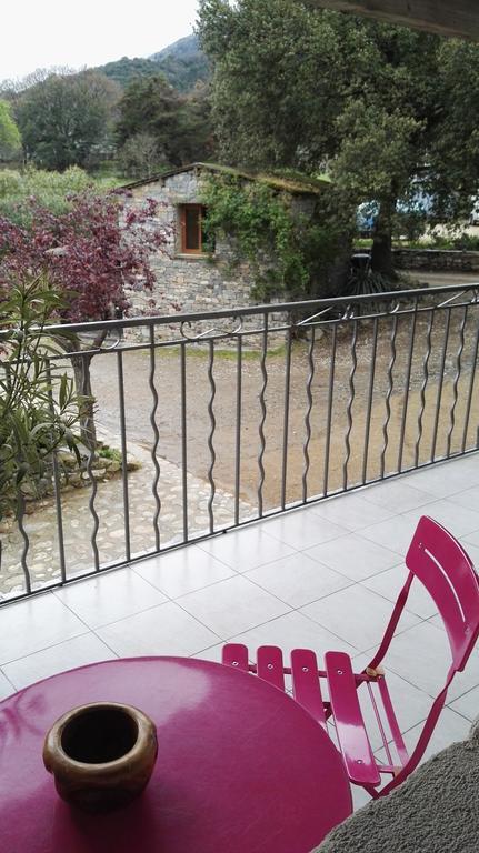 L'Albadu Corte (Corsica) Exterior foto