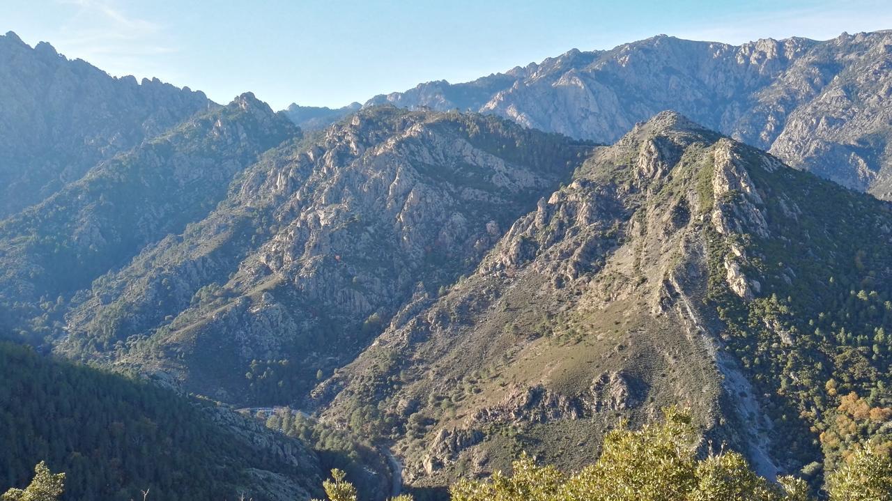 L'Albadu Corte (Corsica) Exterior foto